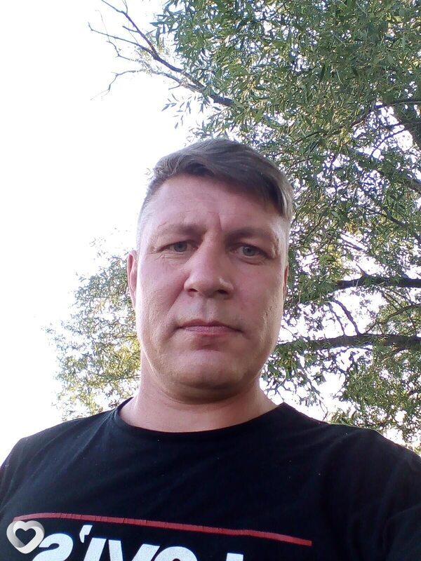 Лев
