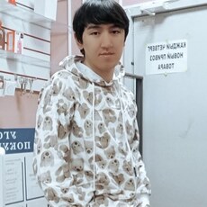 Альбик