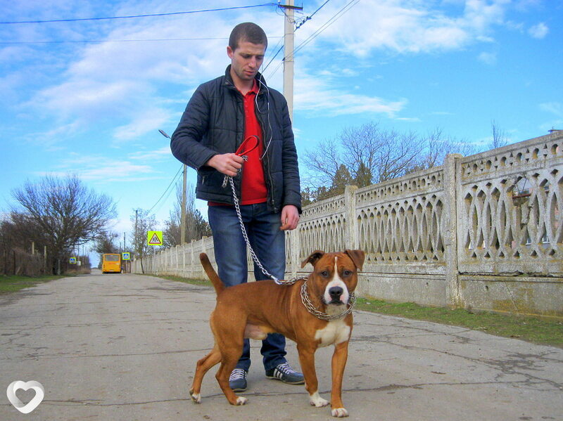 Евгений