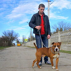Марк