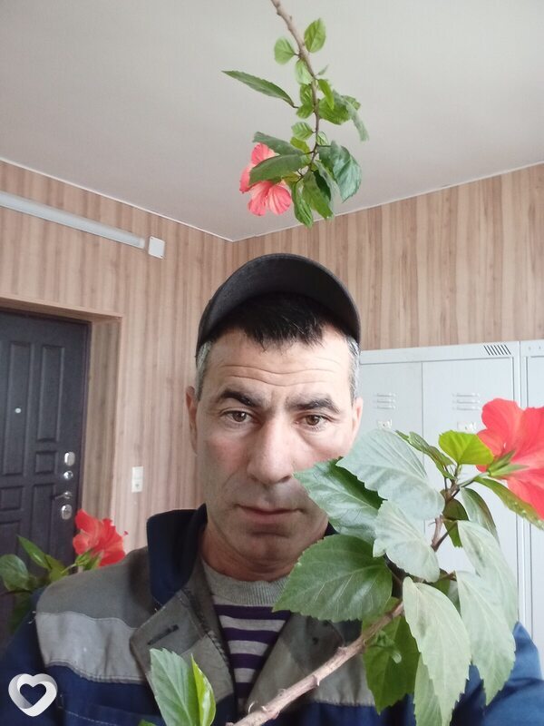 Донат