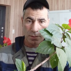 Донат