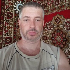 Тим