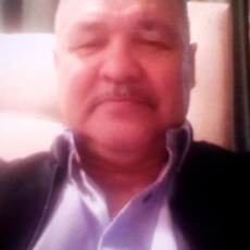 Альбик