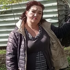 Роза