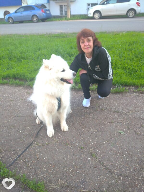 Снежа