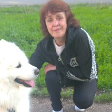 Снежа