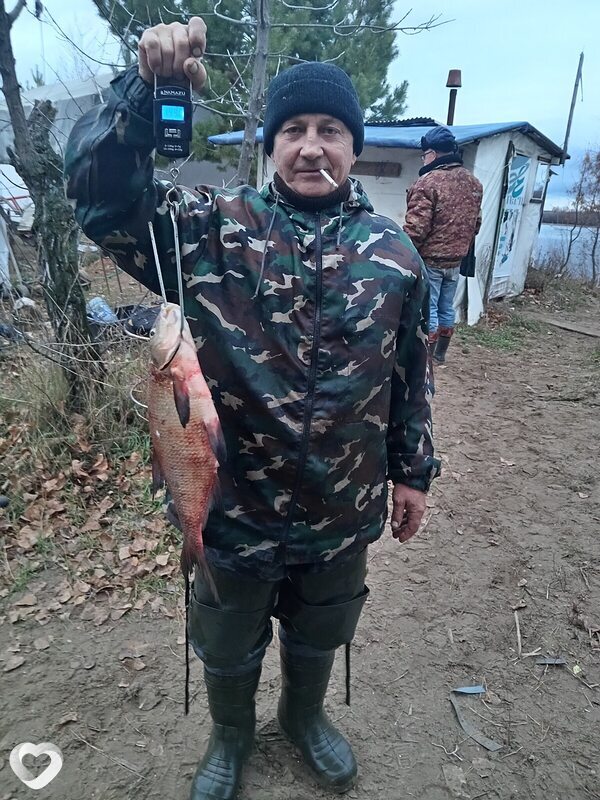 Гоша