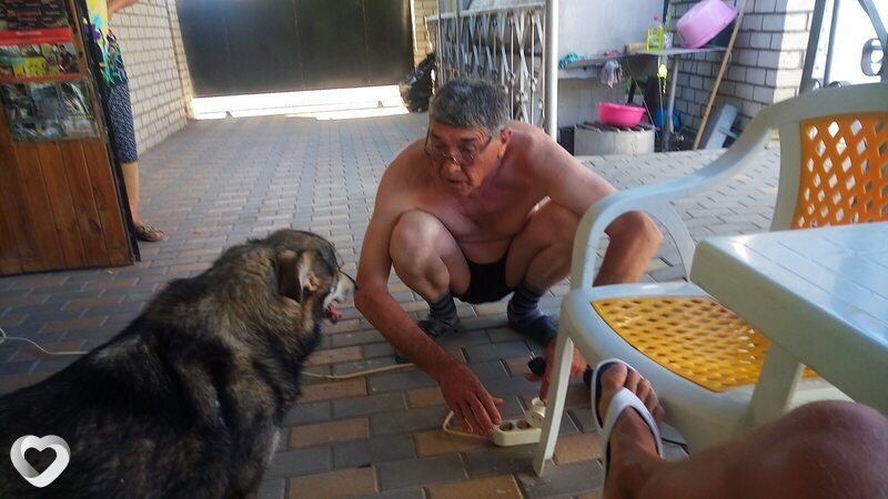 Всеволод