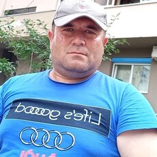 Ян