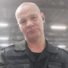 Лев