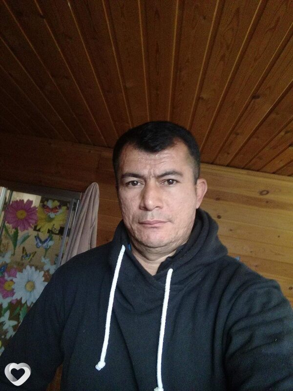 Лев