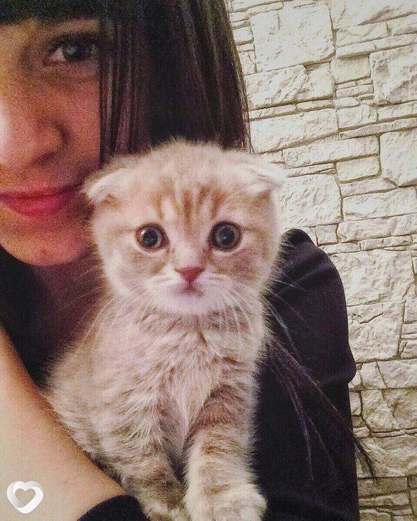 Катя