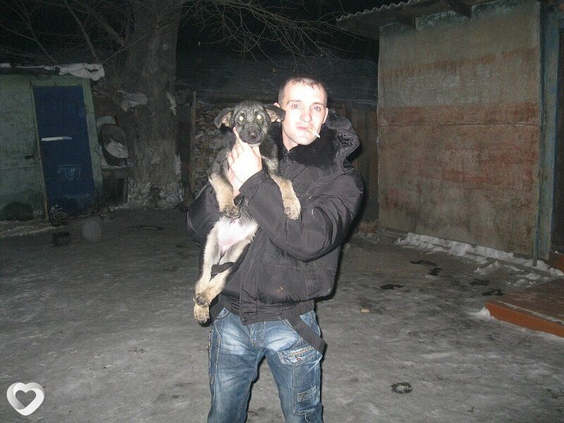 Тим