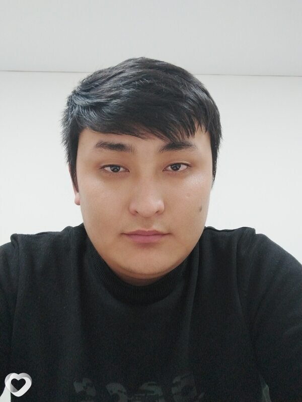 Альбик