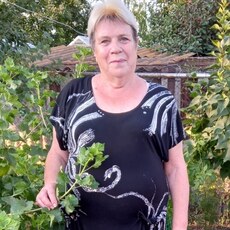 Маргарита