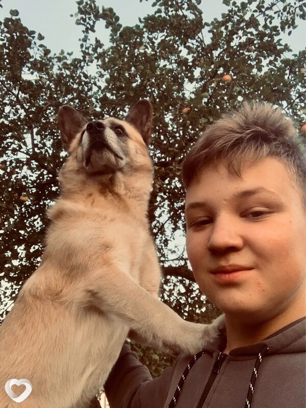 Платоша