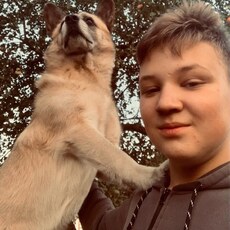 Платоша