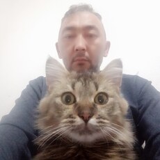 Мотя