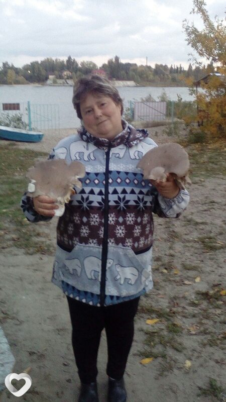 Нэса