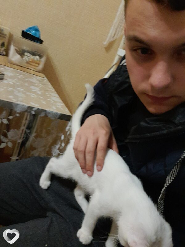 Кир