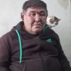 Ян