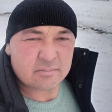 Ян