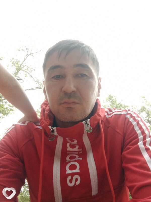 Давид