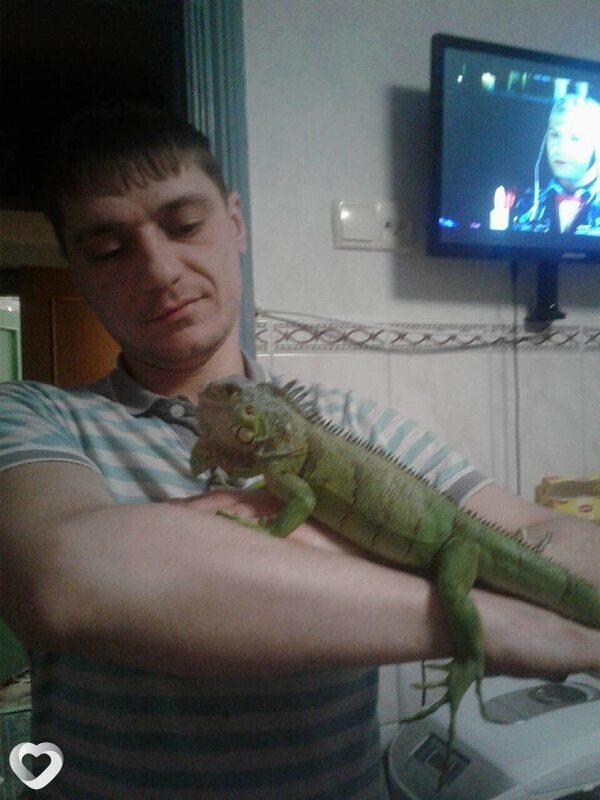 Илья