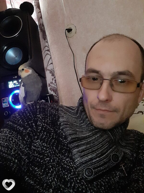 Всеволод