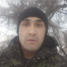 Давид