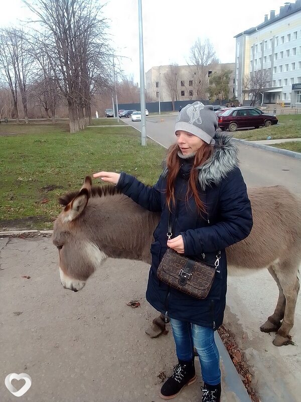 Сеня