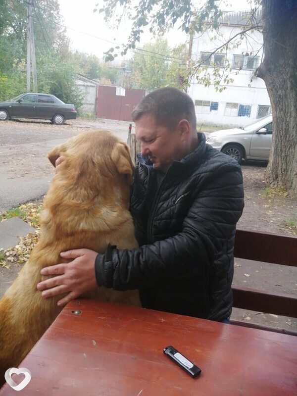 Вениамин