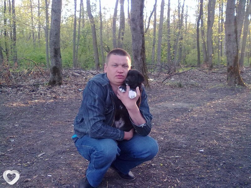 Ян