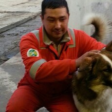 Тим