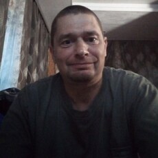 Всеволод