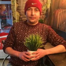 Альбик