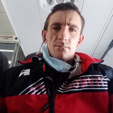 Стёпа