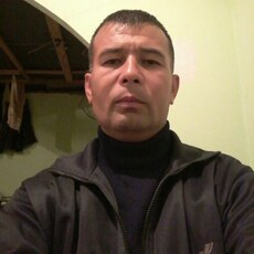 Давид