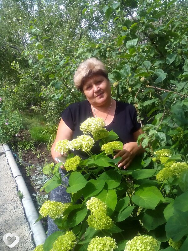 Снежа