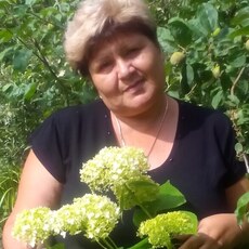 Яна