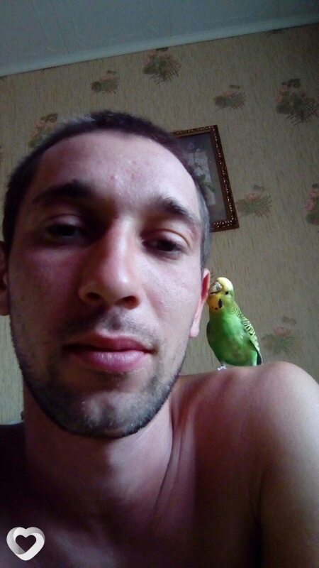 Альбик