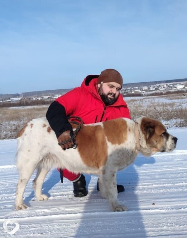 Андрей