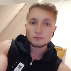 Гаврик