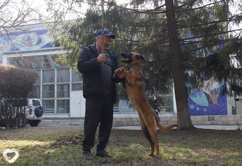 Донат