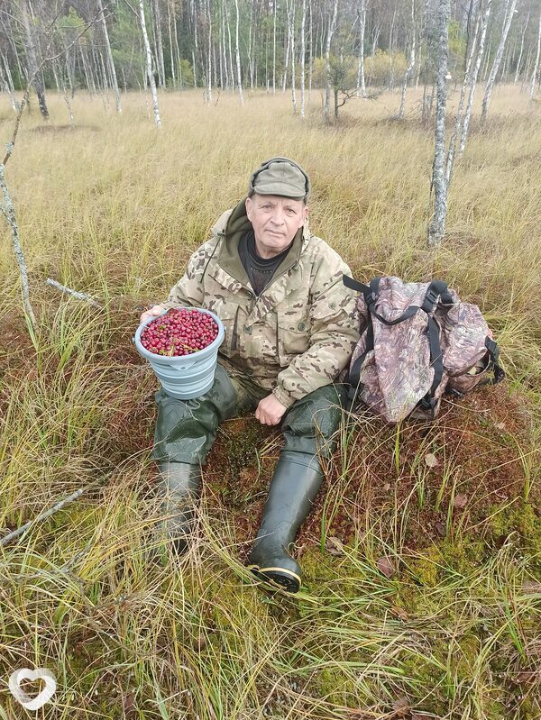 Захарка