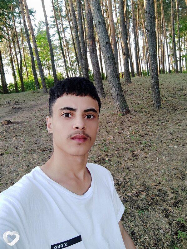 Всеволод