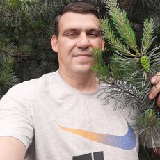 Вася