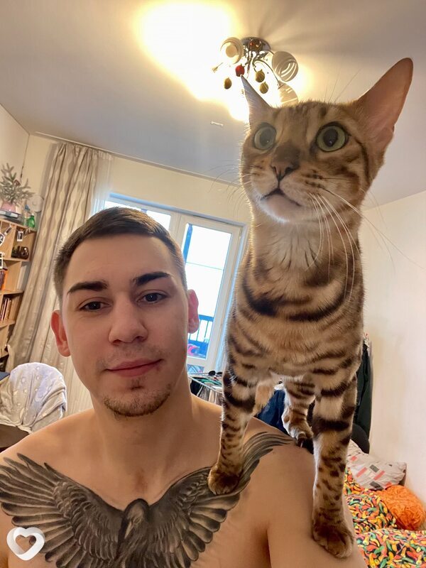 Гена