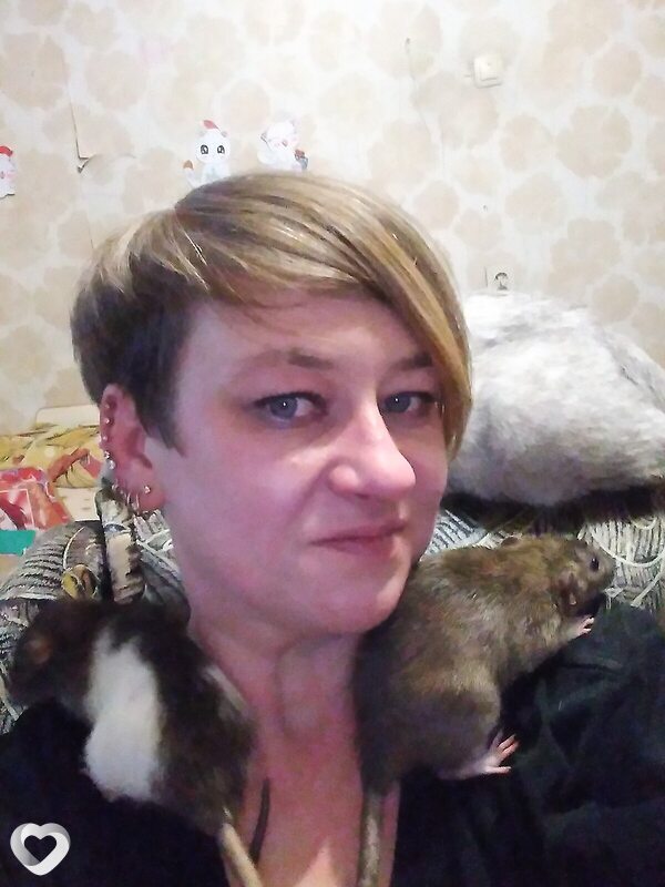 Елизавета